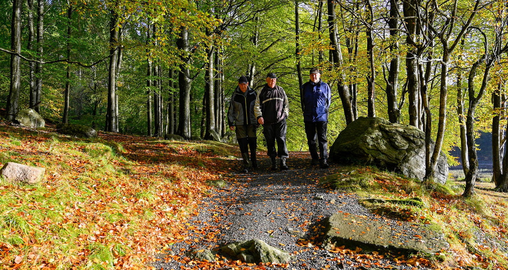 Tre pensjonister går tur i Djupadalen om høsten